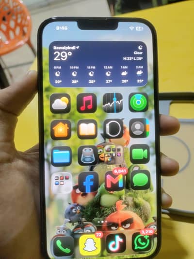 Apple iPhone 13 Pro Max