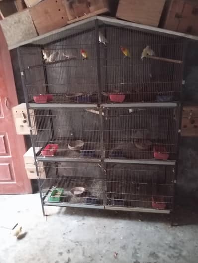 cage for sale