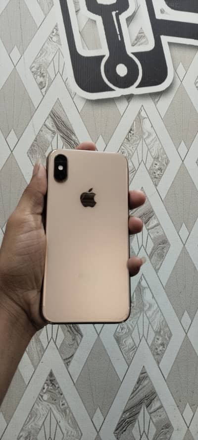 Apple iPhone XS only panel change sunlong