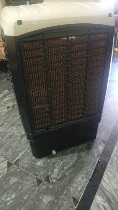 urgent sale need money