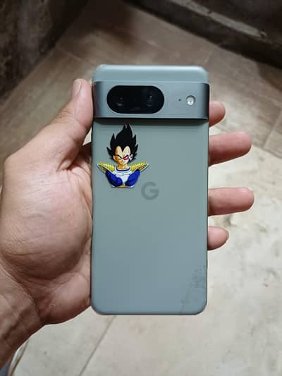 Google Pixel 8 - (100% Shoreline Panel)