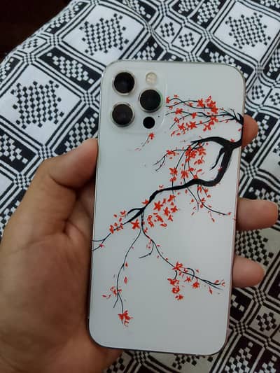 Apple iPhone 12 Pro