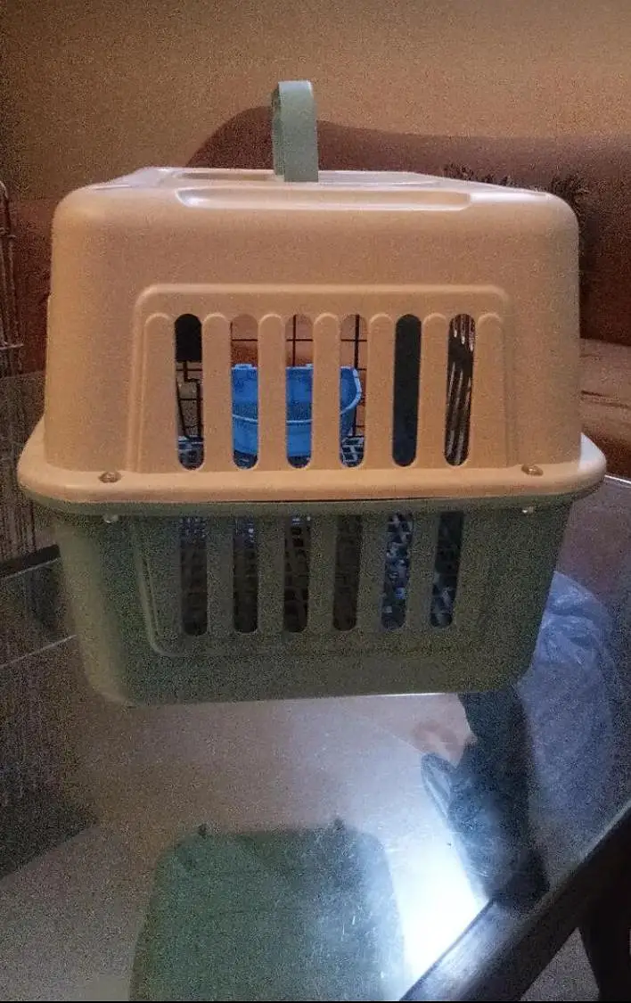 Imported Traveling Cage for Cats & Birds — photo 9