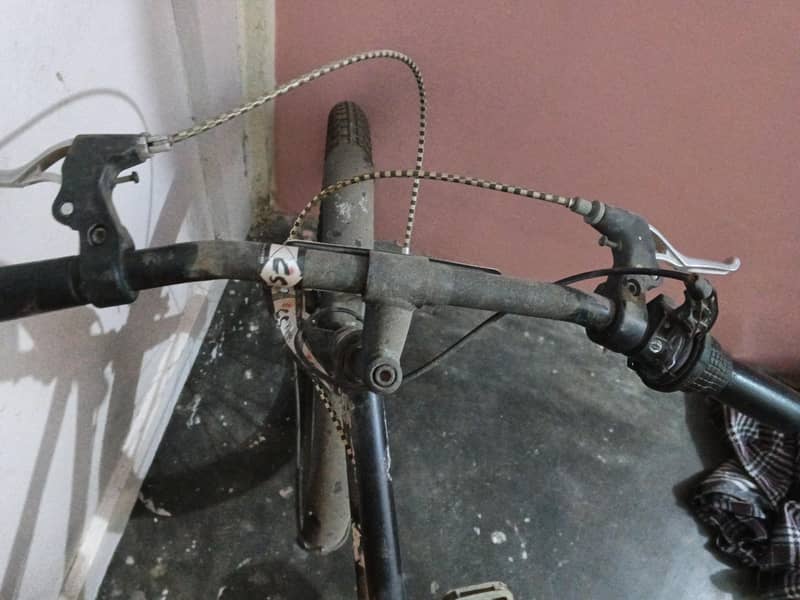 bicycle 2