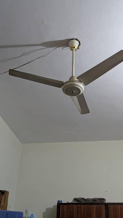 celling fan