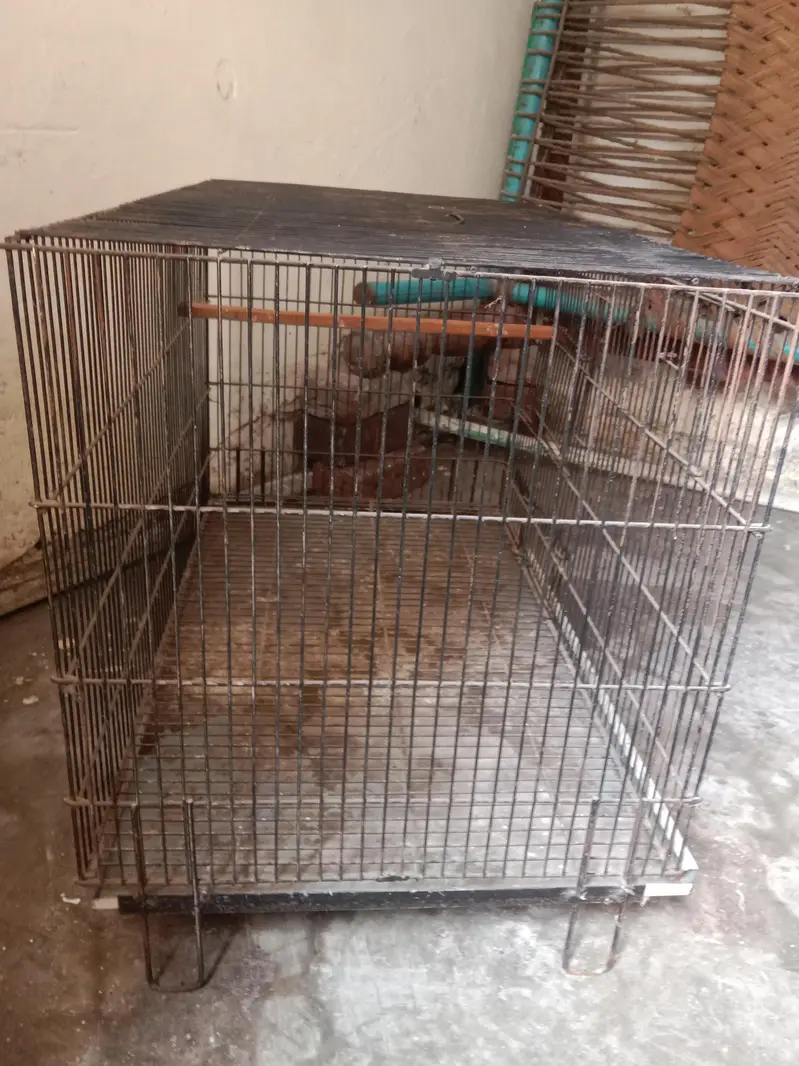 cage ( size 2*1.5*1.5 ) . Whatsapp number 03330031118 — photo 3
