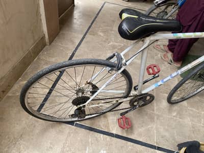 Racer cycle ha