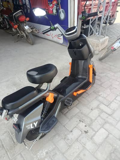 mini scoti for sale rabta no,,,03414289599