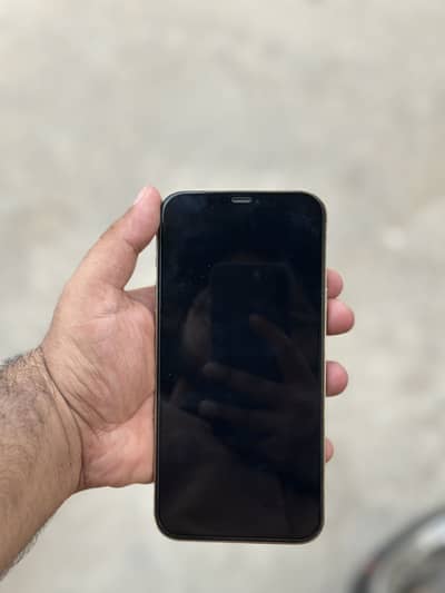 iPhone 12 pro max