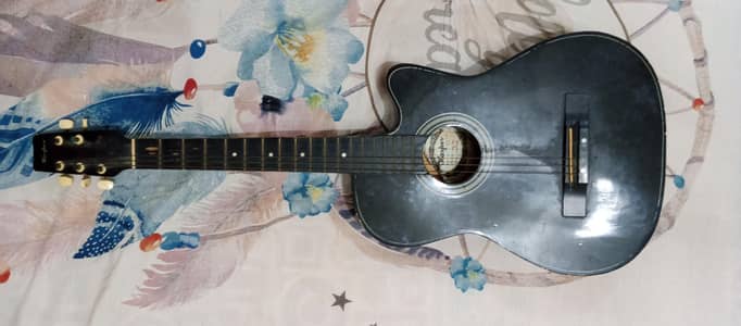 Guitar
