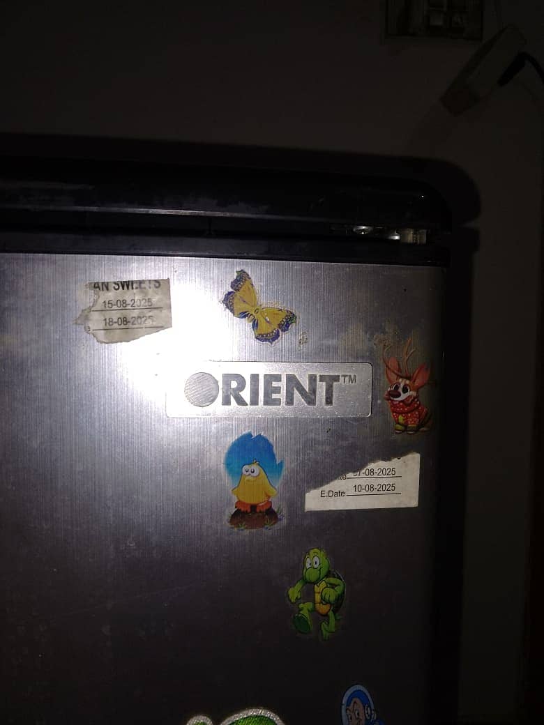 Mini Fridge 4