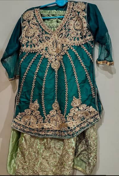 Beautiful Green Embroidered Lehenga Set