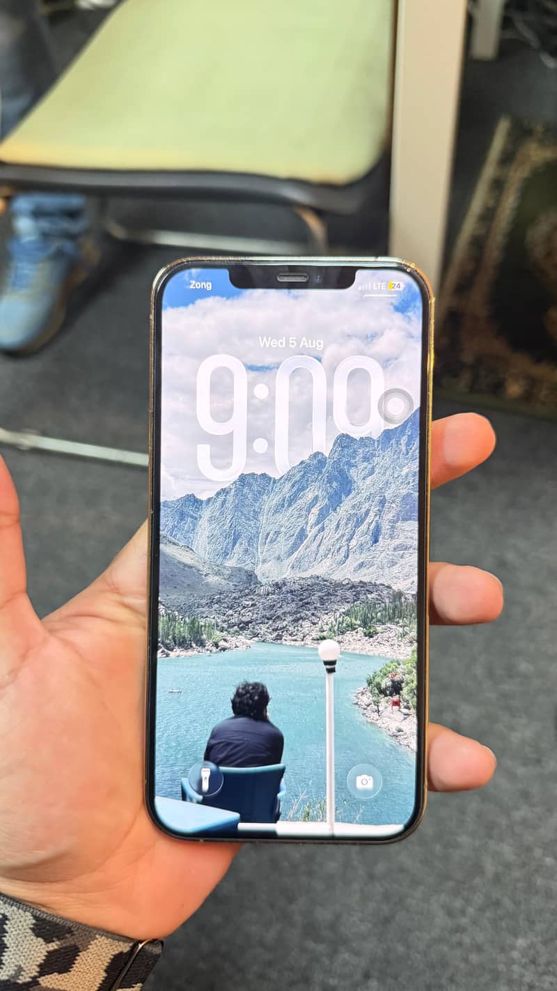 Apple iPhone 12 Pro Max 1