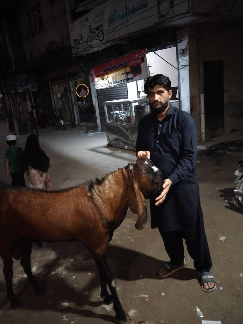 Bakra 5