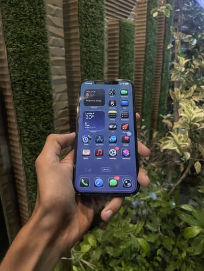 Apple iPhone 12 Pro Max