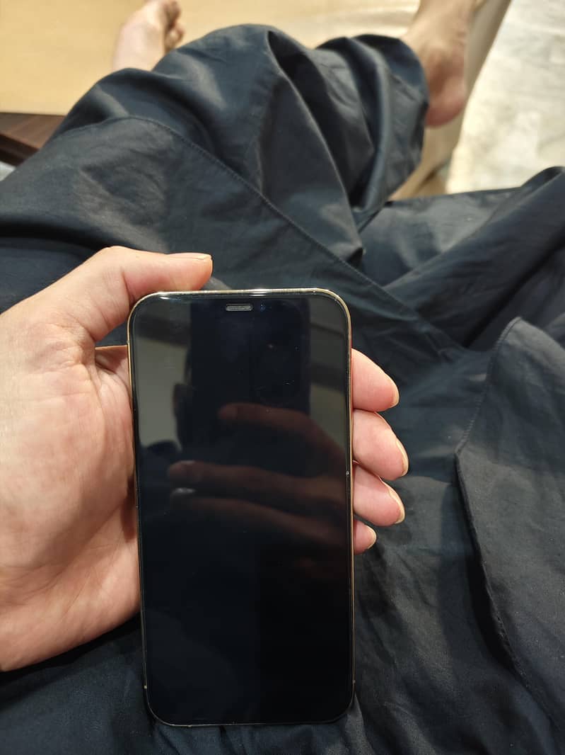 iPhone 12 Pro 1