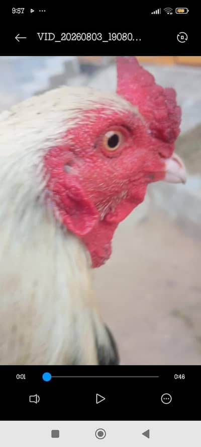 12345