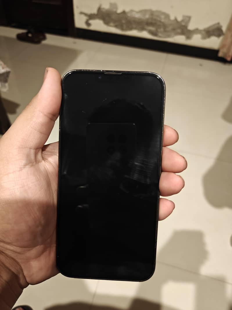 Apple iPhone 13 Pro Max 1
