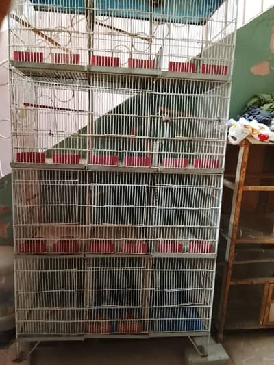 Cages