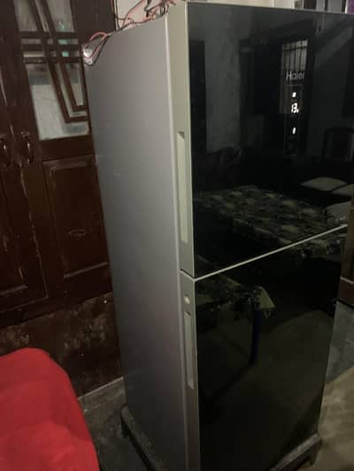 contact number 03194245924