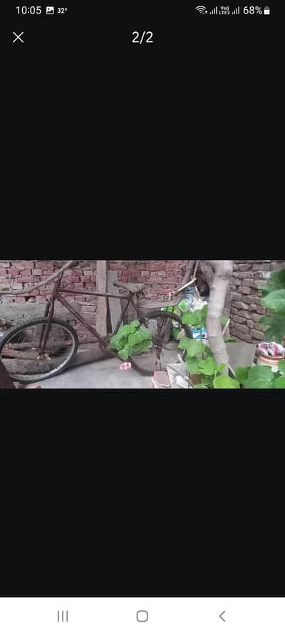 phoenix cycle
