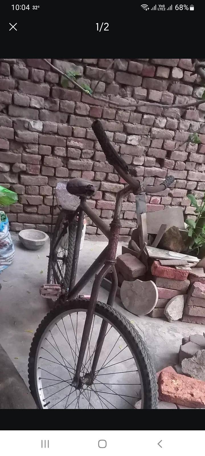 phoenix cycle 1