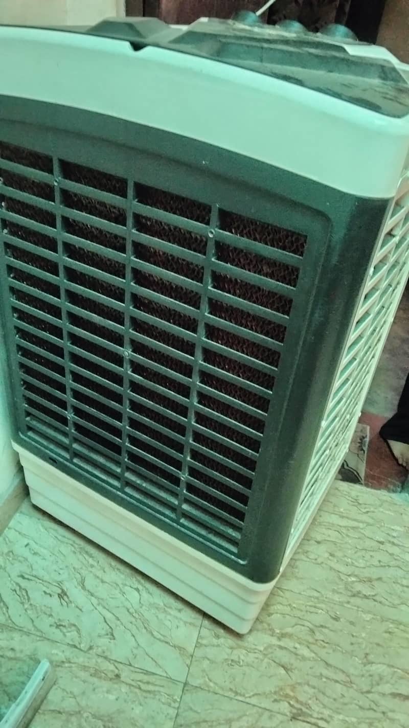 I zone cooler 1