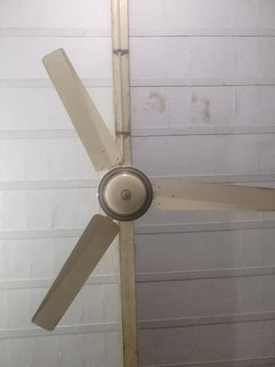 Celling Fan for sale