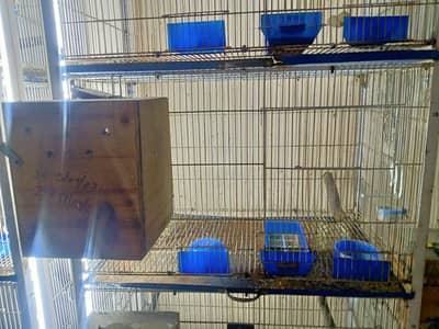 cages available