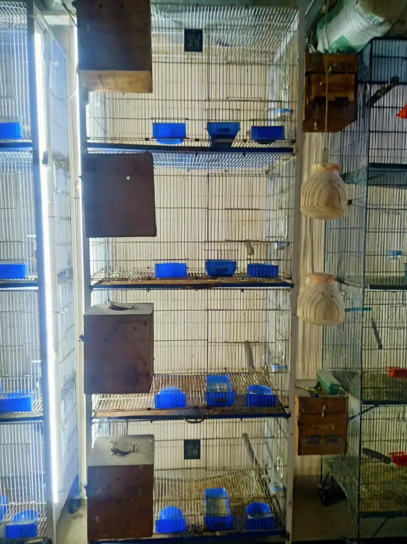 cages available — photo 2