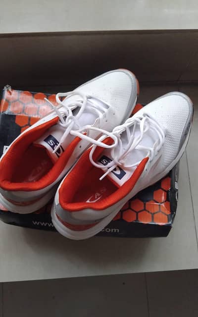 Cricket Shoes