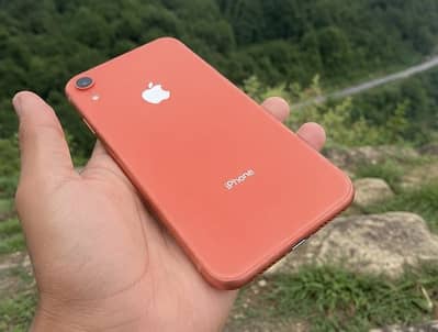 Apple iPhone XR