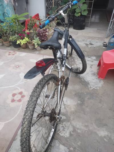 Cycle for Boy