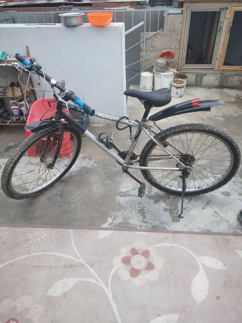 Cycle for Boy 1