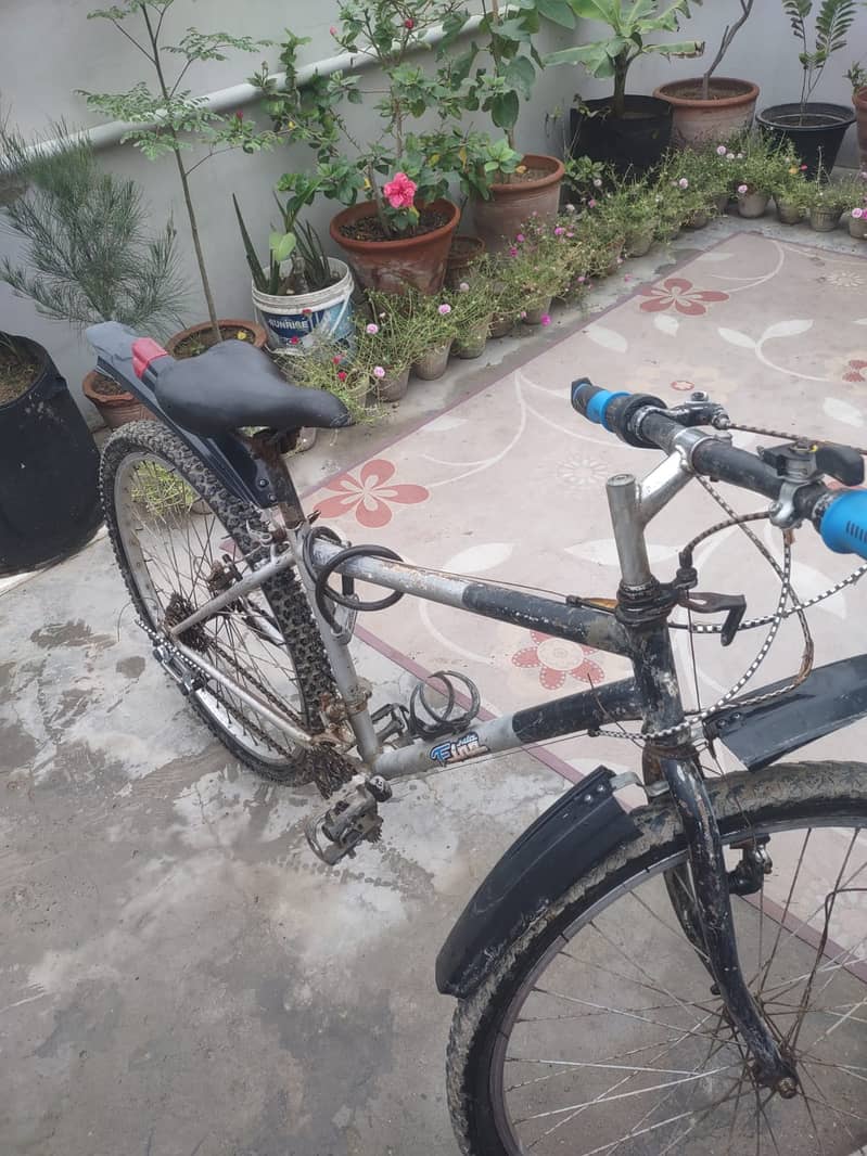 Cycle for Boy 2
