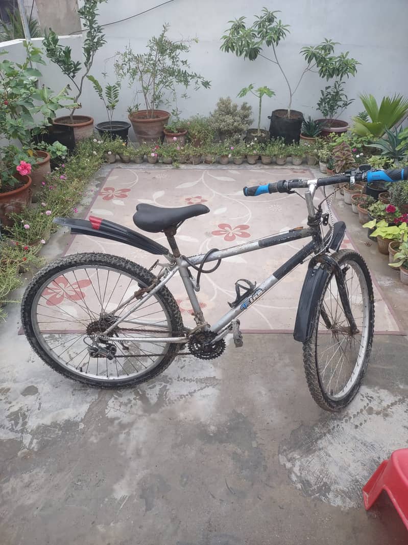 Cycle for Boy 3