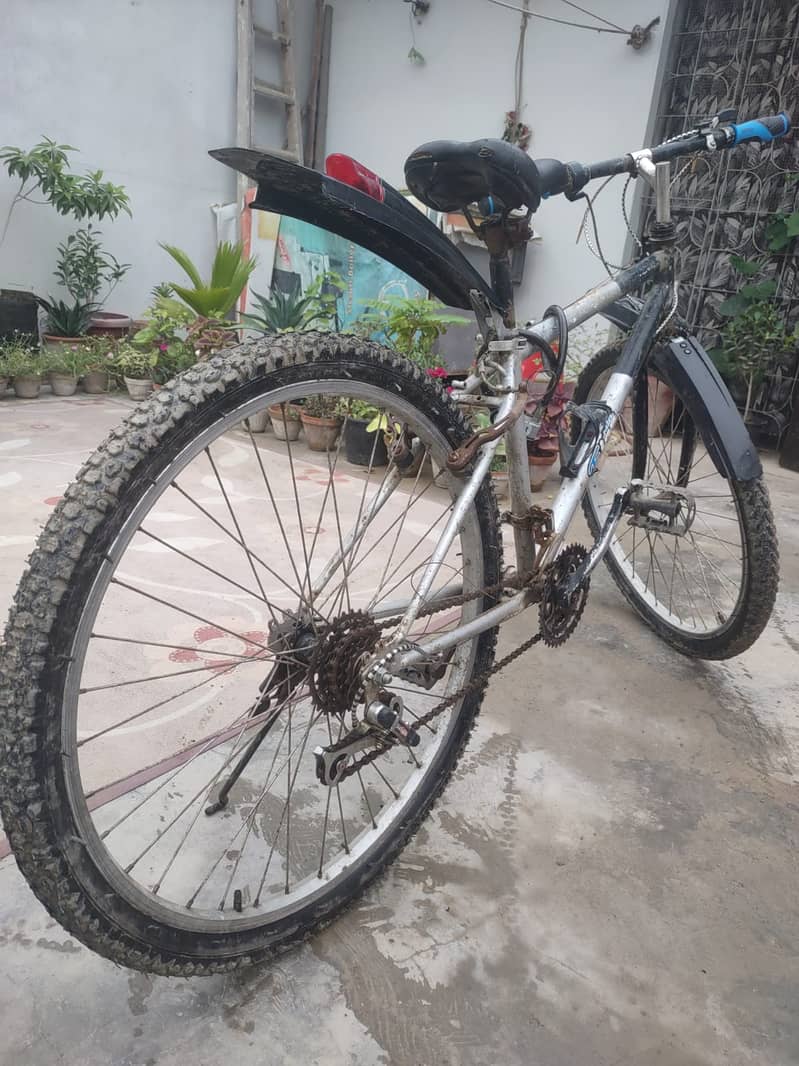 Cycle for Boy 6