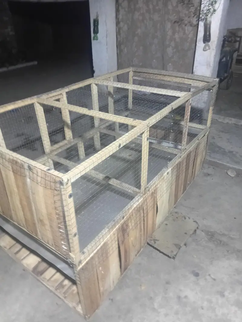 hen and rabit cage — photo 2