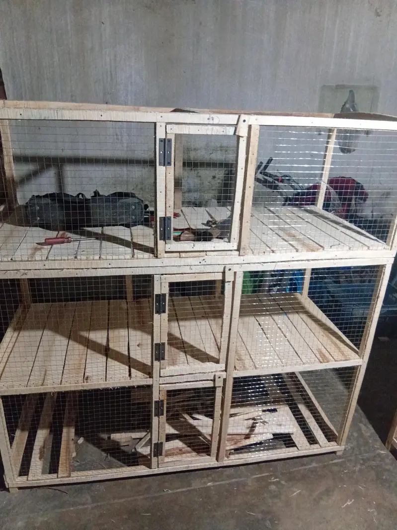 hen and rabit cage — photo 4