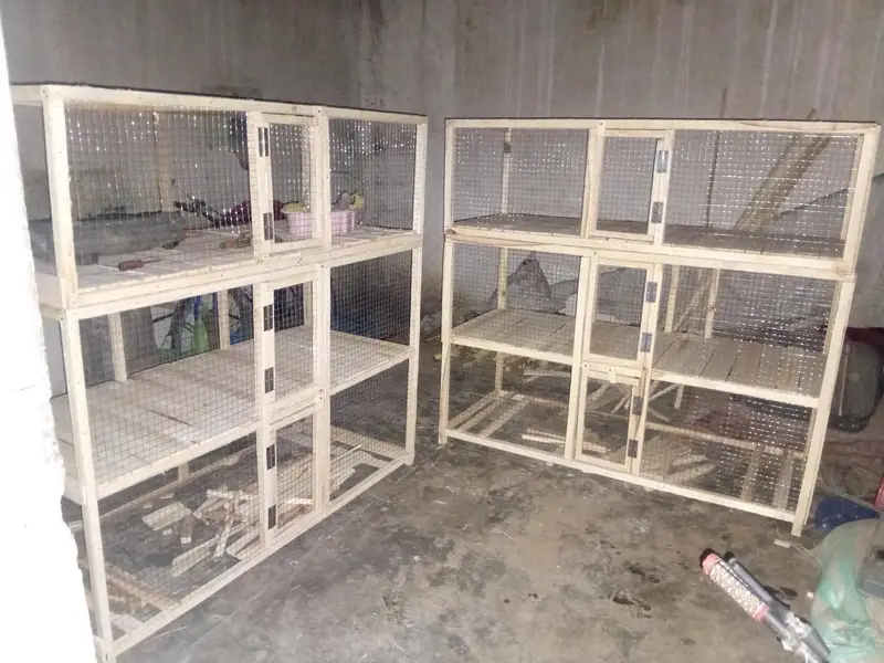 hen and rabit cage — photo 5