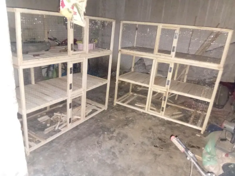 hen and rabit cage — photo 6