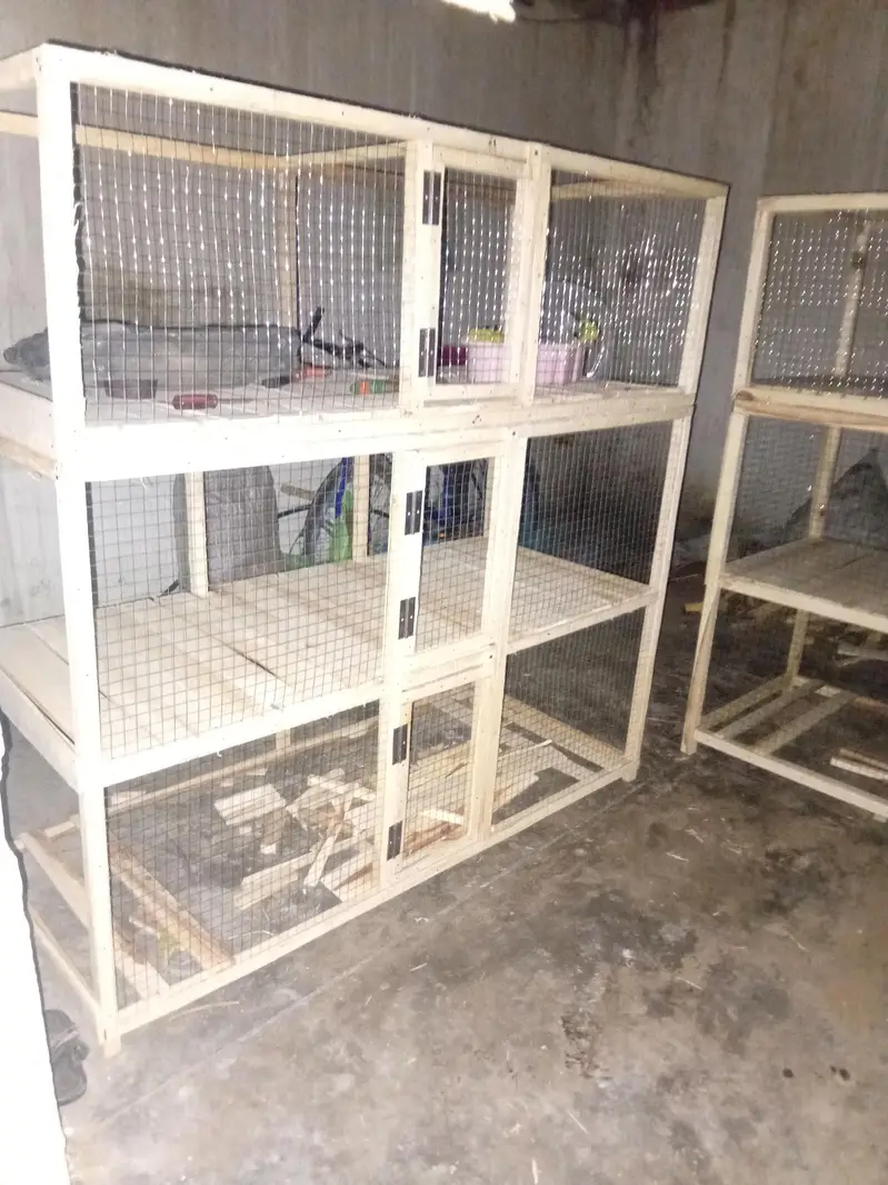 hen and rabit cage — photo 7