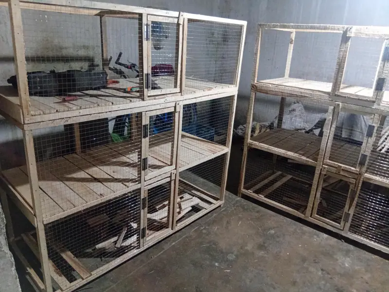 hen and rabit cage — photo 8