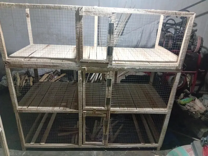 hen and rabit cage — photo 9