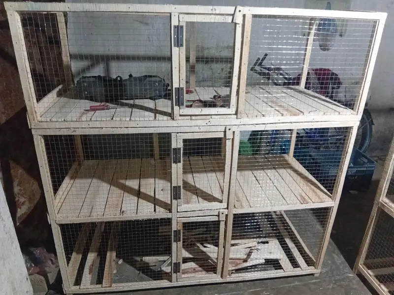 hen and rabit cage — photo 10