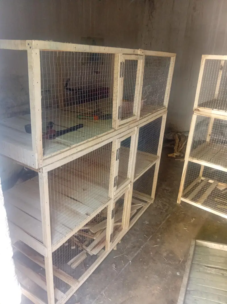 hen and rabit cage — photo 11