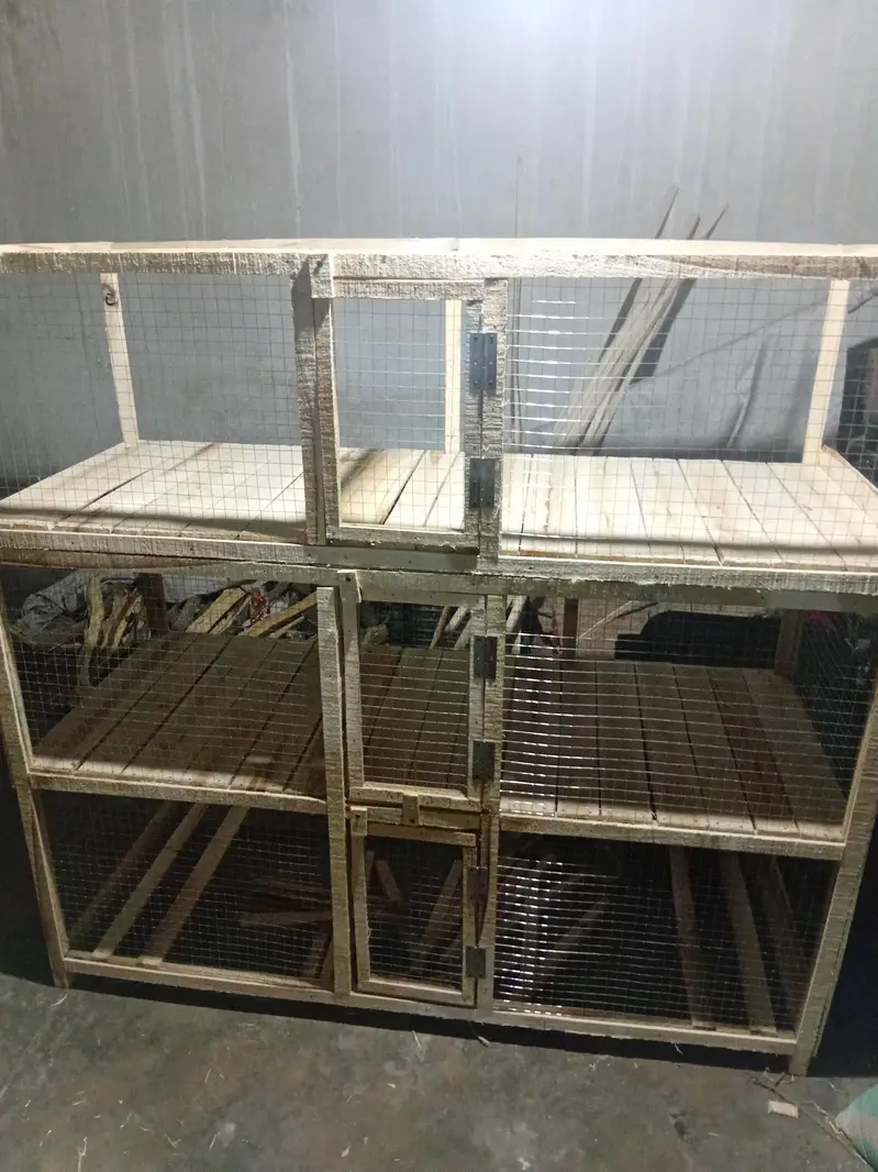 hen and rabit cage — photo 12