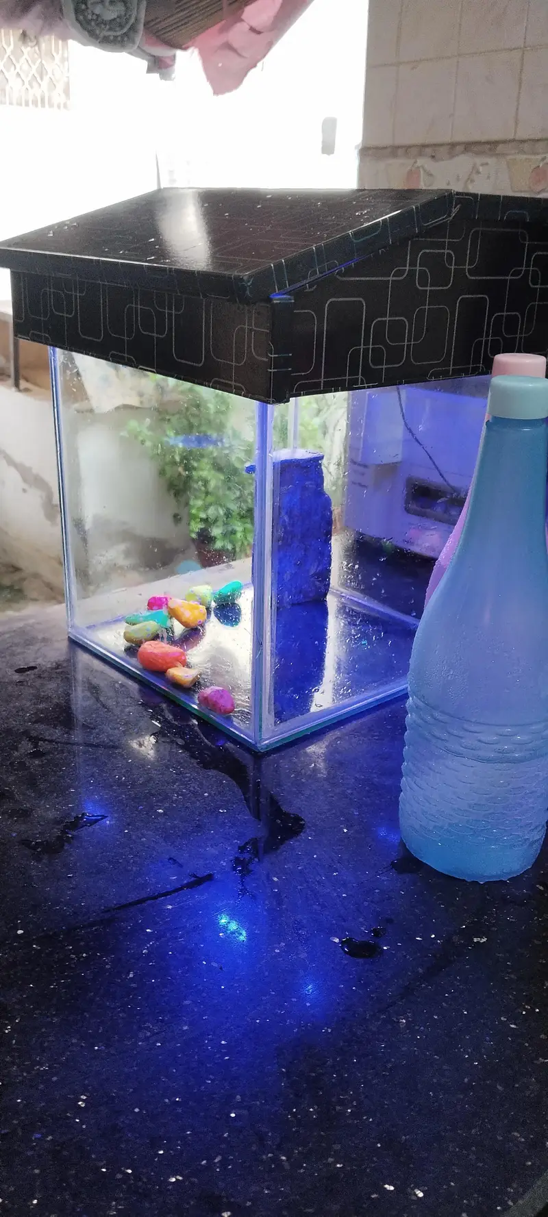 Beautiful Medium Fish Aquarium — photo 2