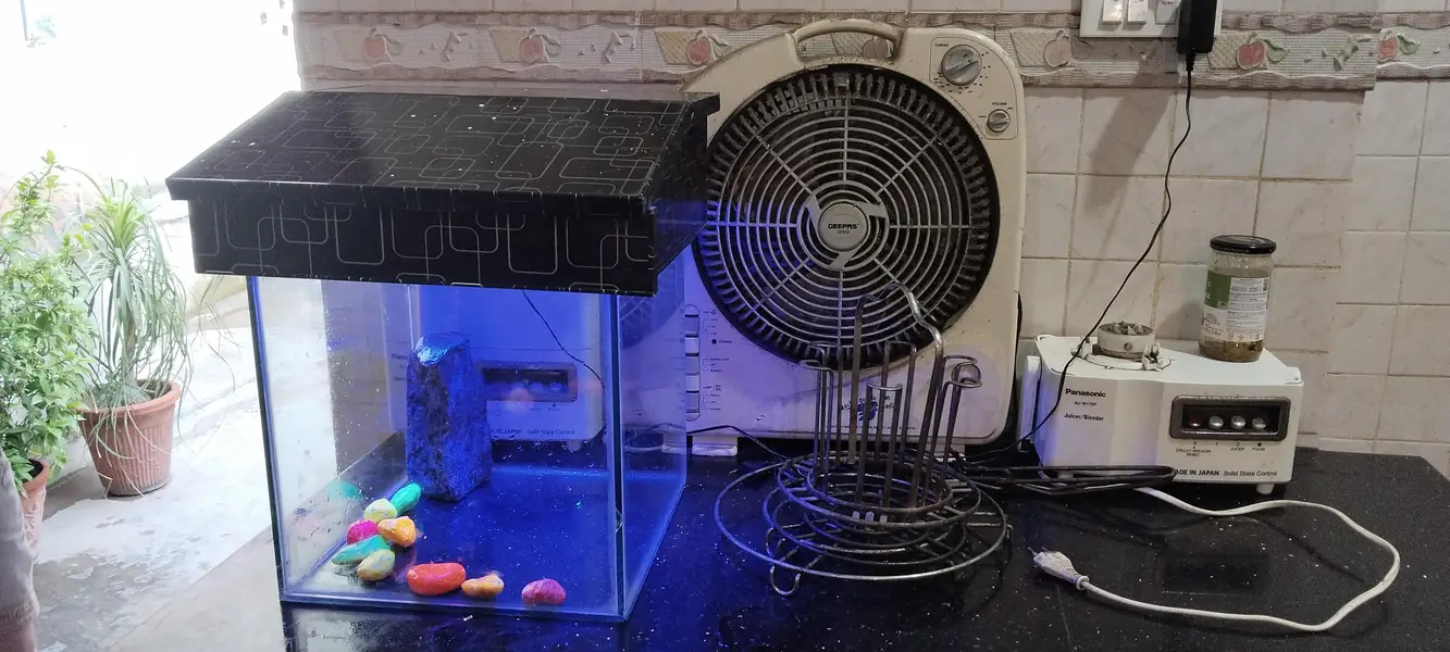 Beautiful Medium Fish Aquarium — photo 5