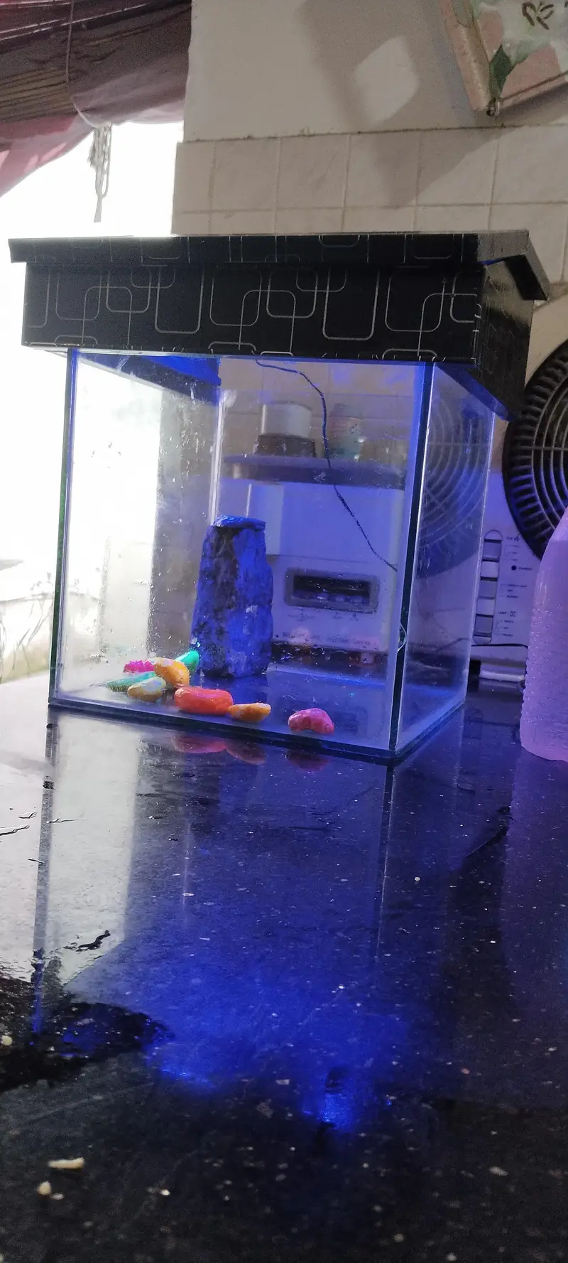 Beautiful Medium Fish Aquarium — photo 6